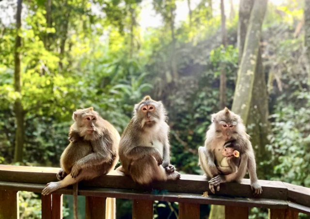 Tempat Hiburan yang Ada di Bali untuk Kaum Muda