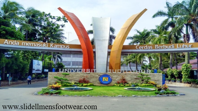 Beasiswa Universitas Budi Luhur Akses Pendidikan untuk Semua
